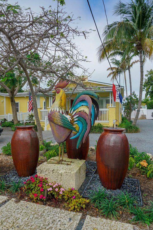 アメリカ(米国)・サンフランシスコ「201901 🇺🇸USA」の写真