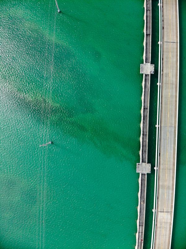 アメリカ(米国)・サンフランシスコ「201901 🇺🇸USA」の写真