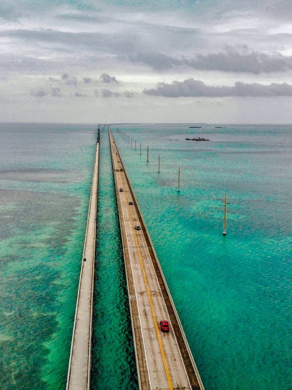 アメリカ(米国)・サンフランシスコ「201901 🇺🇸USA」の写真