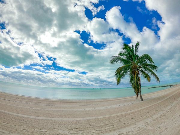 アメリカ(米国)・サンフランシスコ「201901 🇺🇸USA」の写真