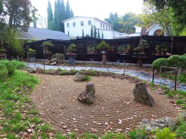 南アフリカ・ケープタウン「ペンギン調査に参加！」の写真：ステレンボスのボタニカルガーデンには日本...