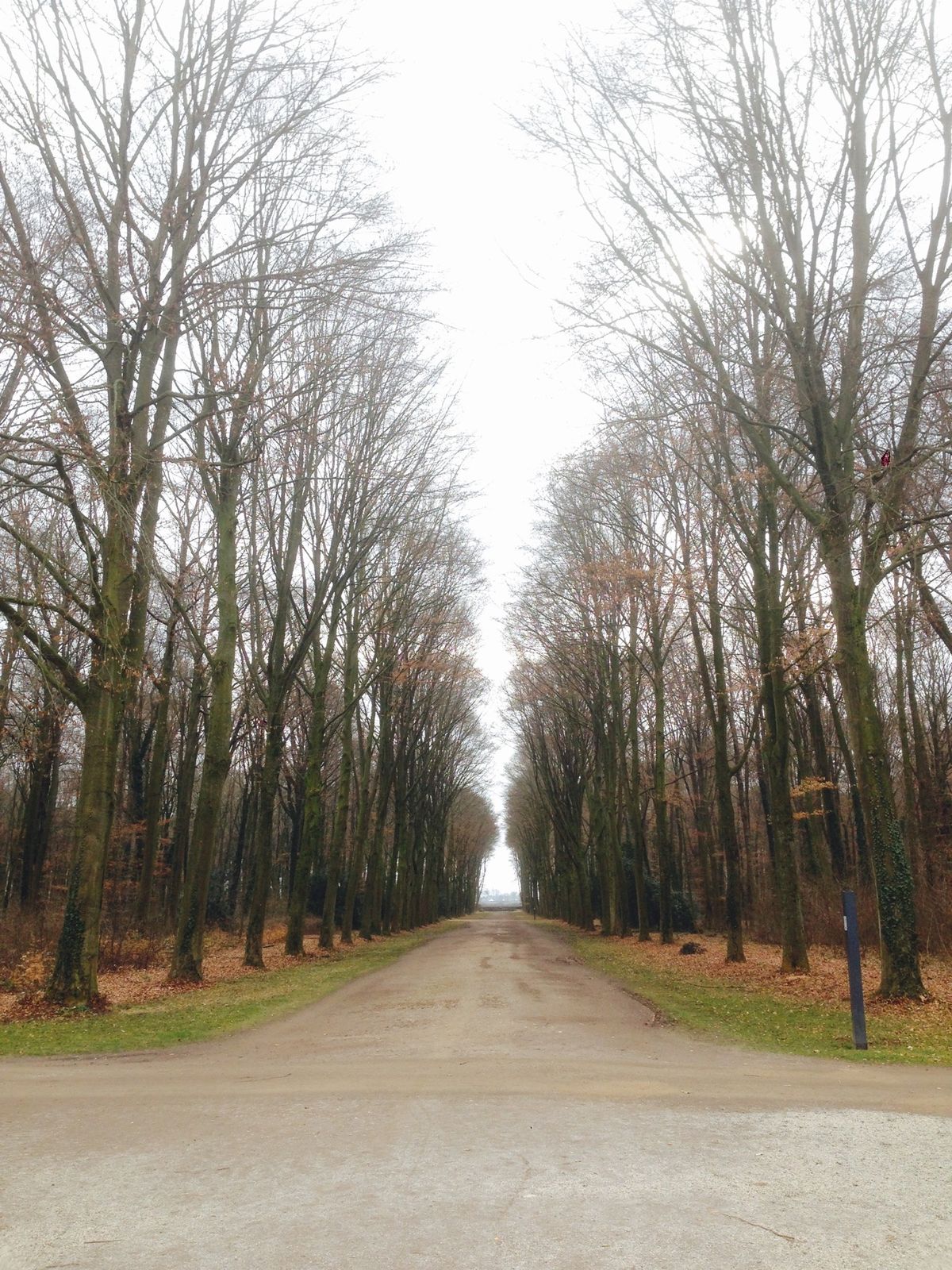 ボン郊外、ブリュールBrülにある当時の貴族屋敷
建てられた時期忘れちゃっ...