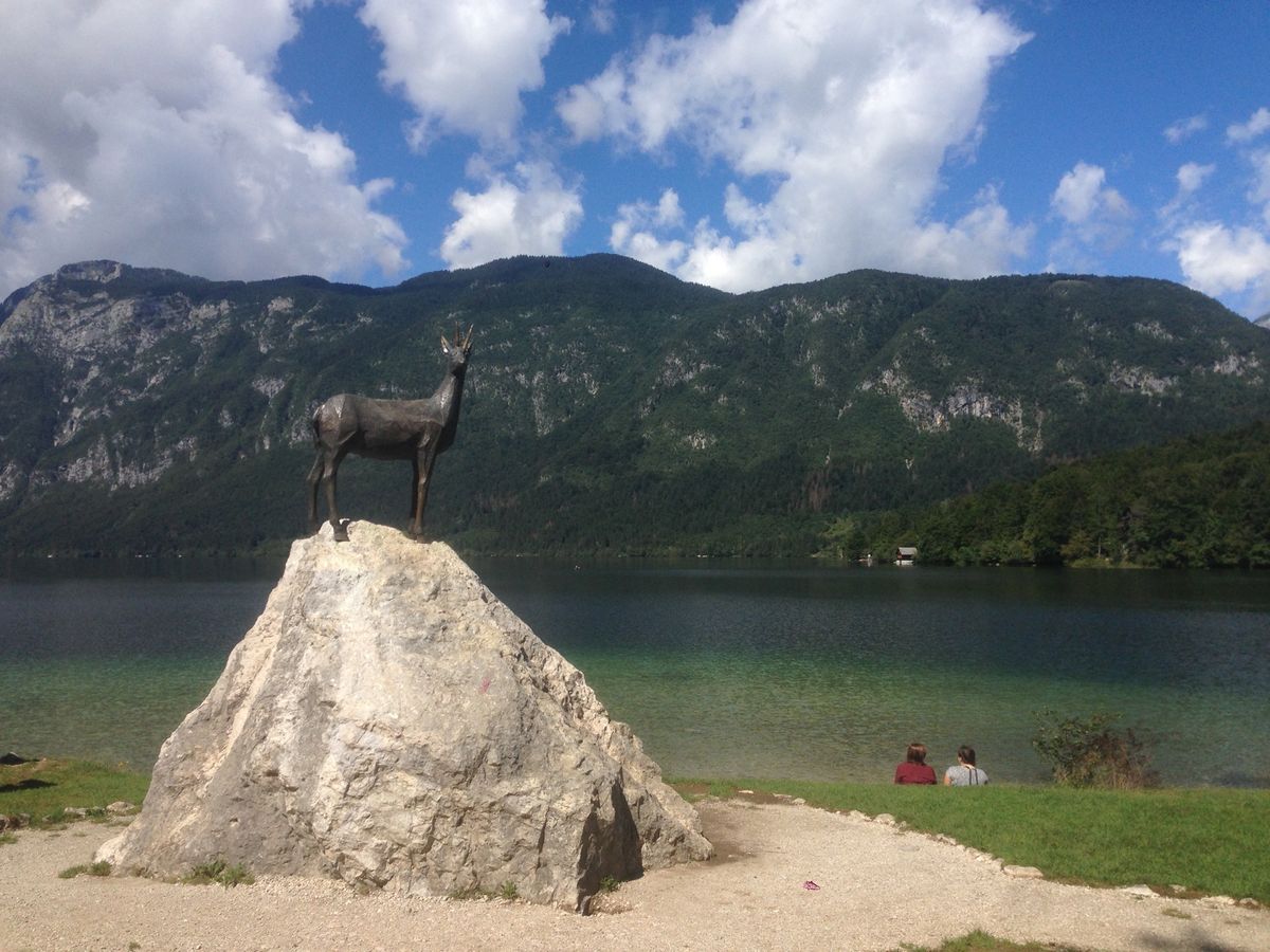 ボーヒン湖Bohinska jezero
爽やか！河畔でずっと眺めていられる