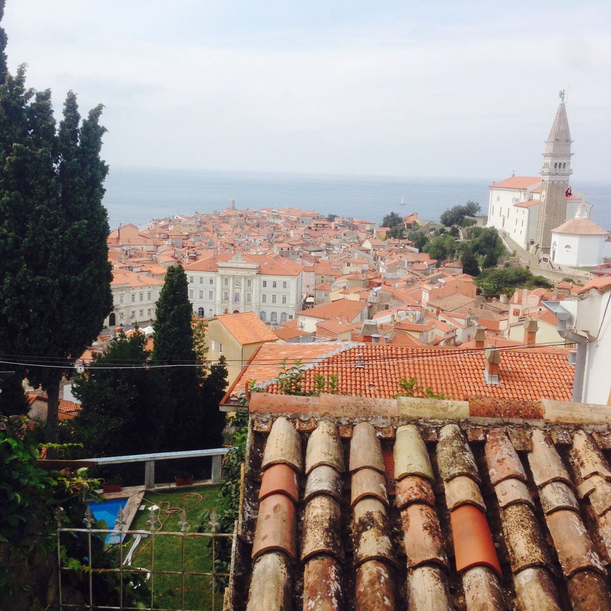 地中海沿いの町ピランへ
泳ぎたーい
