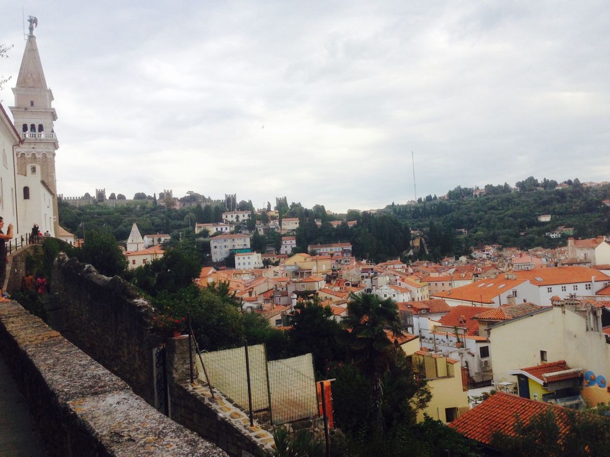 地中海沿いの町ピランへ
泳ぎたーい