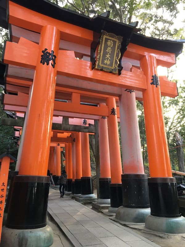 日本・京都「京都でストレス発散。」の写真：稲荷伏見大社→三十三間堂