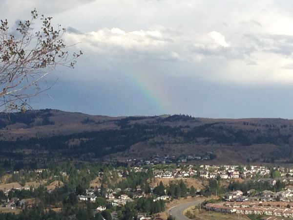 カナダ・バンクーバー「バンクーバー(2)」の写真：おうちのお庭が本当に毎日綺麗だった