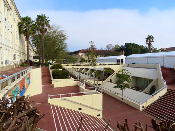 南アフリカ・ケープタウン「ペンギン調査に参加！」の写真：ステレンボス大学
すごくキレイな大学なん...