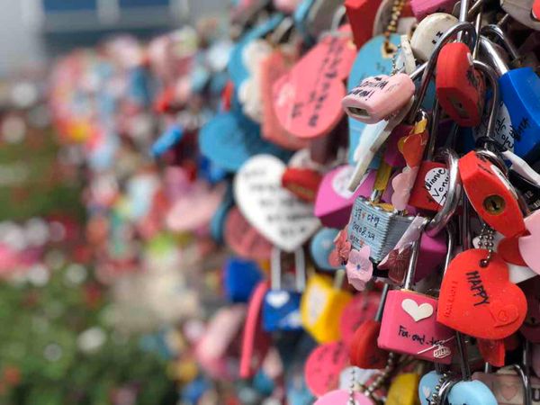 大韓民国 (韓国)・남산「ソウル」の写真：남산