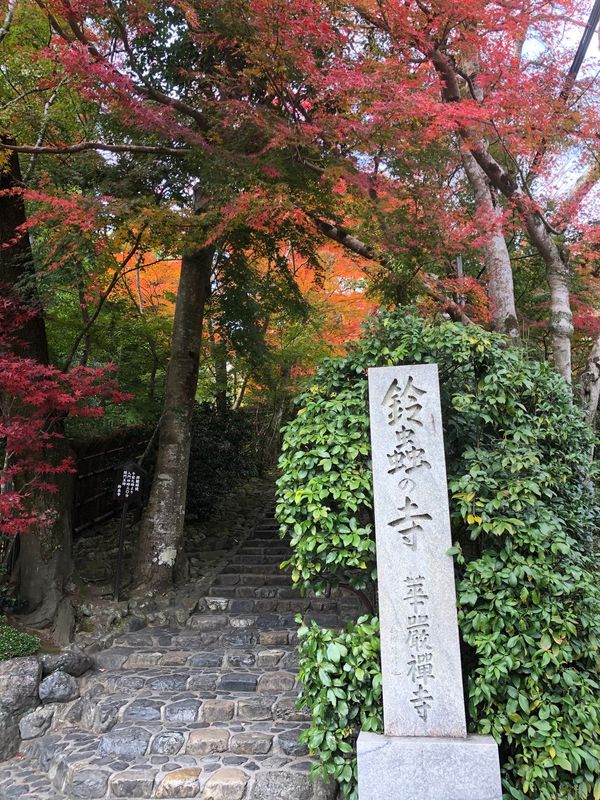 日本「京都旅行」の写真