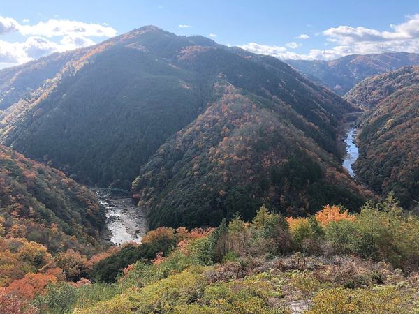 日本「京都旅行」の写真