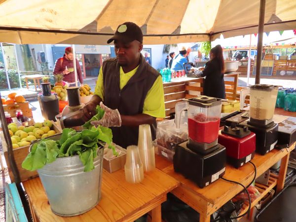 南アフリカ・ケープタウン「ペンギン調査に参加！」の写真：ステレンボスのワイン畑の近くにあるサンデ...