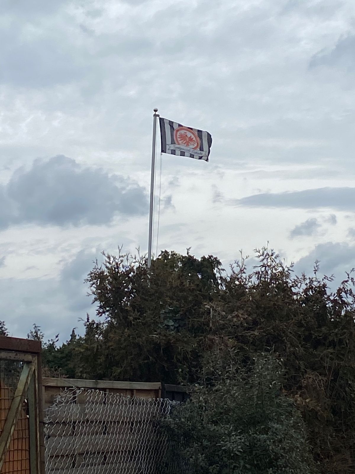 機内からのフランクフルト中心部。
高層ビルはそんなにない。

フランクフル...