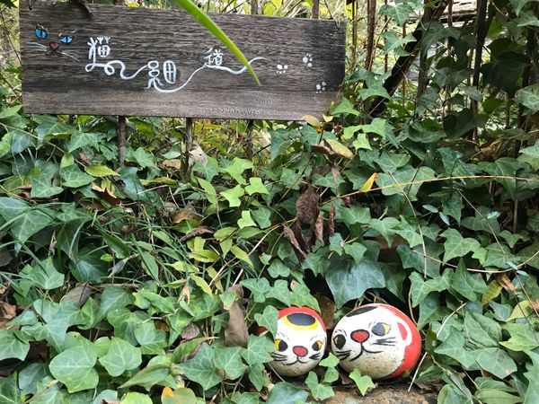 日本・鞆の浦「福山🐱女子旅+上司」の写真：尾道
ロープウェイで丘に登り、下りは歩い...