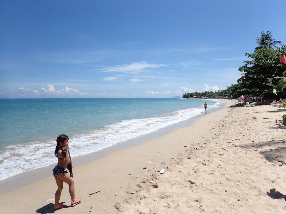クロコンビーチ