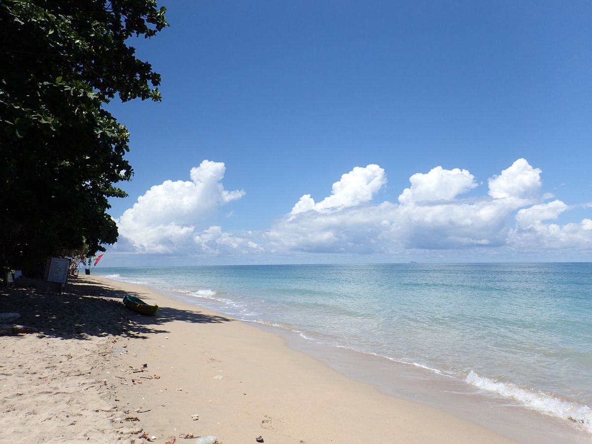 クロコンビーチ