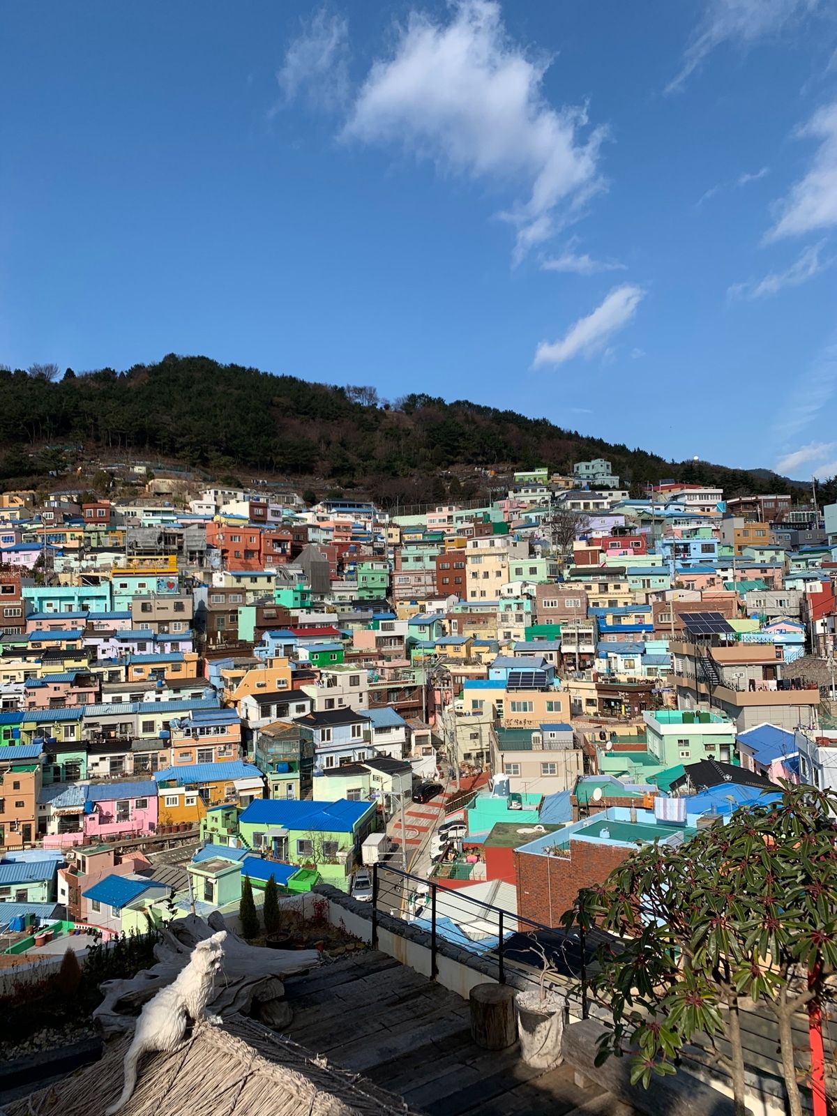 甘川文化村🇰🇷