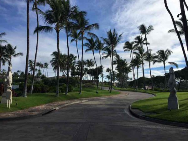 アメリカ(米国)・マウナケア「2018 大好きbigisland❤️ ハワイ島家族旅行」の写真：朝ランが習慣の旦那さんが撮ったホテル周囲...