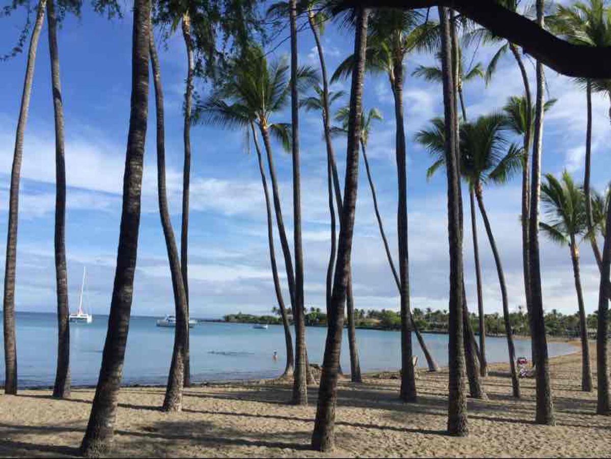 朝ランが習慣の旦那さんが撮ったホテル周囲の写真。  どこまでも清々しい✨