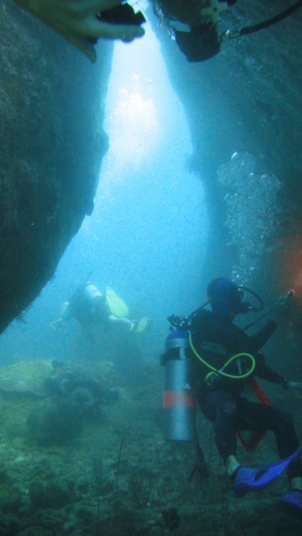 タイ・ダイビング「2014 Khaolack シミランダイビング」の写真：別の友達にハウジングとカメラ借りて、講習...