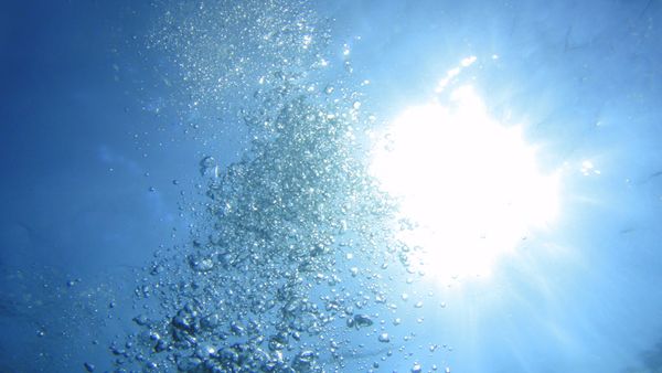 タイ・ダイビング「2014 Khaolack シミランダイビング」の写真：ダイビングのランチで上陸したシミラン諸島の島