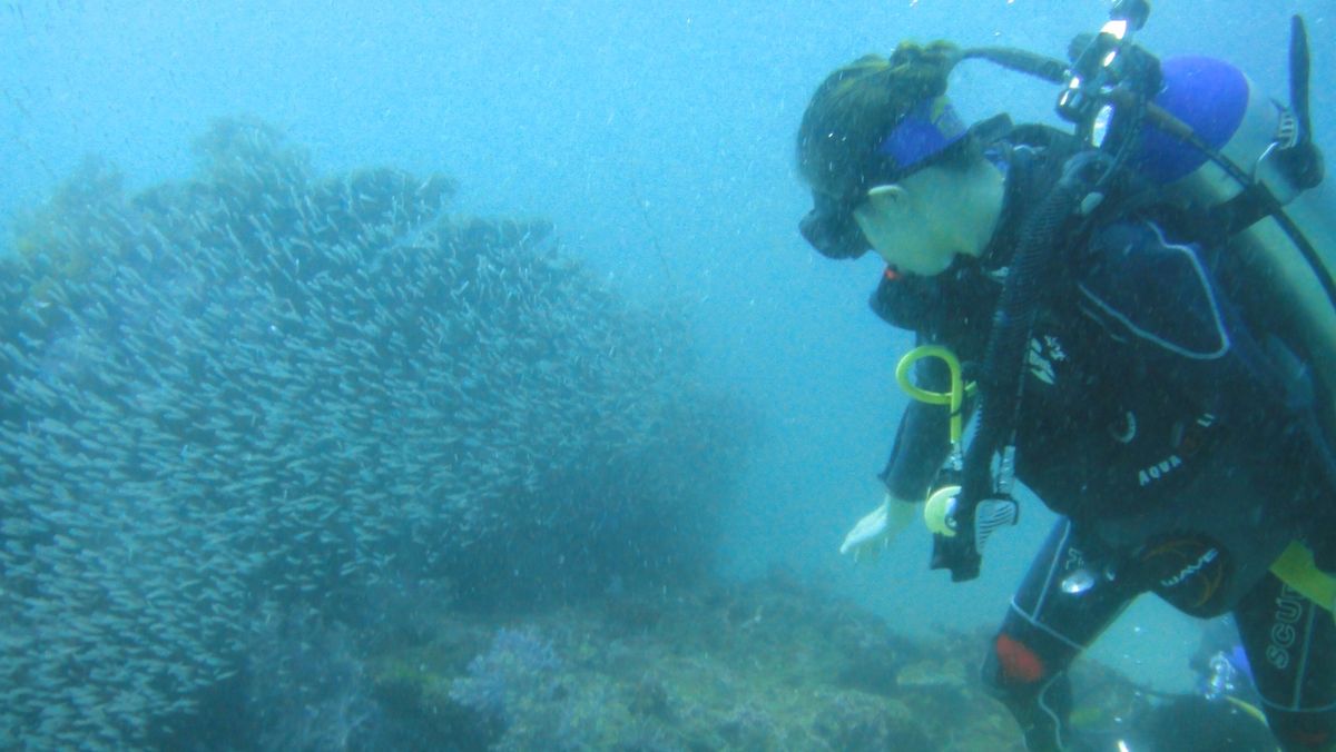 ダイビングのランチで上陸したシミラン諸島の島