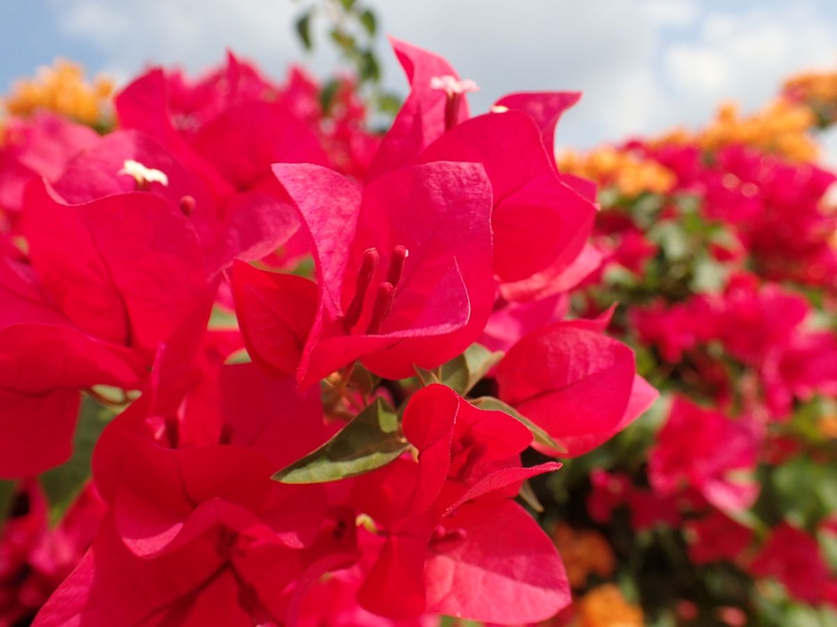 二日目もバイクでお出かけ
ビュースポット