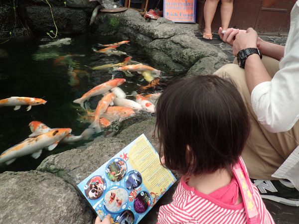 タイ・バンコク「2015 Pattaya」の写真：パタヤ水族館
オプションで申し込めば水槽...