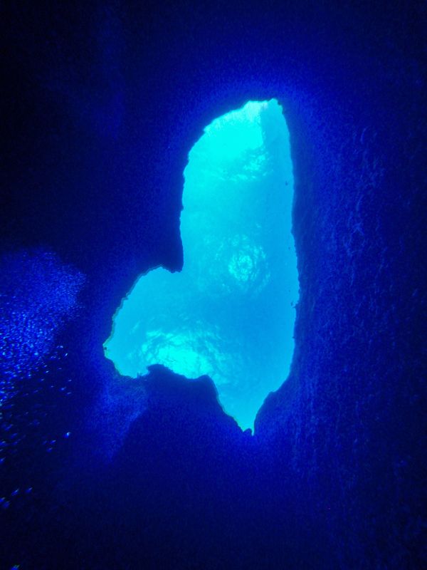 グアム「20200129 Guam🇬🇺」の写真