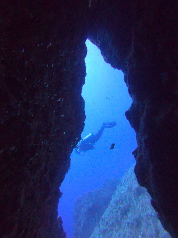 グアム「20200129 Guam🇬🇺」の写真