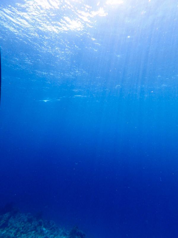 日本・沖縄「201909 🇯🇵Kerama」の写真