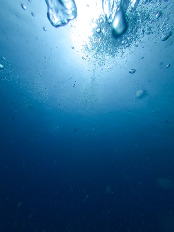 日本・沖縄「201909 🇯🇵Kerama」の写真