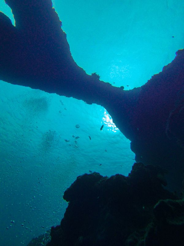 日本・宮古島「201908 🇯🇵Miyako」の写真