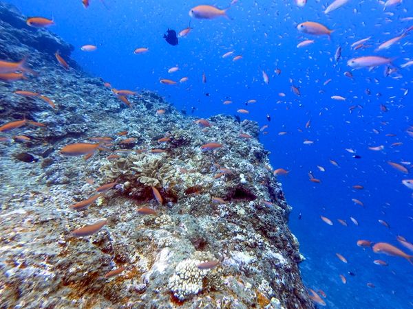 日本・宮古島「201908 🇯🇵Miyako」の写真