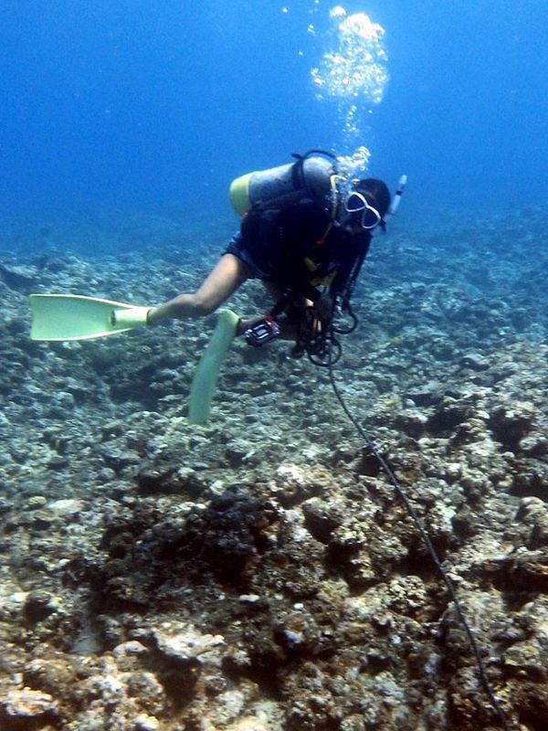 日本・宮古島「201908 🇯🇵Miyako」の写真