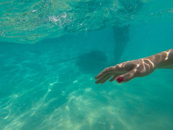 ケイマン諸島・George Town「201901 🇰🇾Cayman Islands」の写真