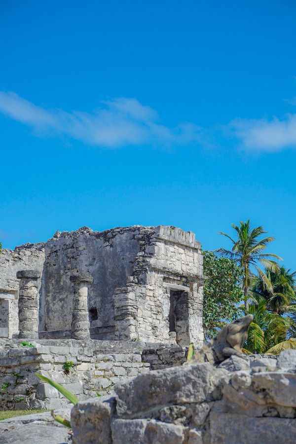 メキシコ・Cozumel「201902 🇲🇽Mexico」の写真