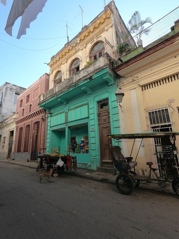 キューバ・Havana「201902 🇨🇺Cuba」の写真
