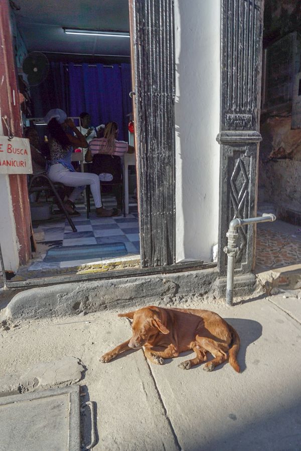キューバ・Havana「201902 🇨🇺Cuba」の写真