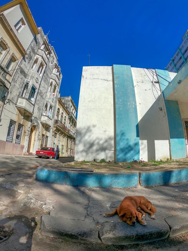 キューバ・Havana「201902 🇨🇺Cuba」の写真