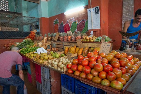 キューバ・Havana「201902 🇨🇺Cuba」の写真