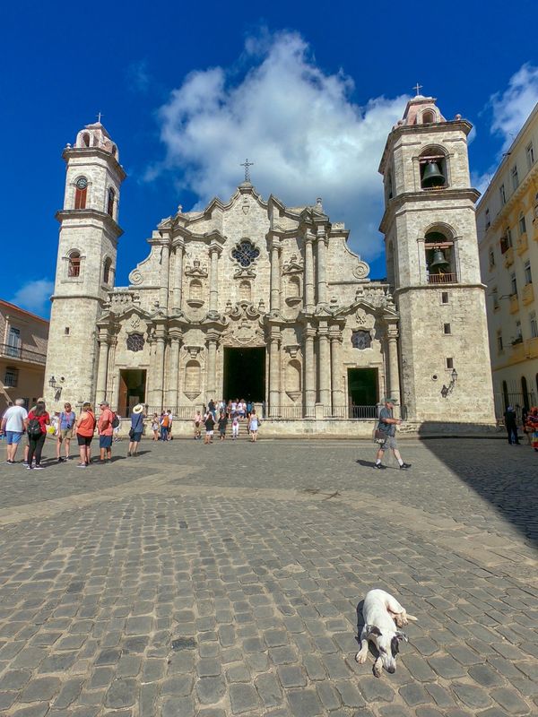 キューバ・Havana「201902 🇨🇺Cuba」の写真
