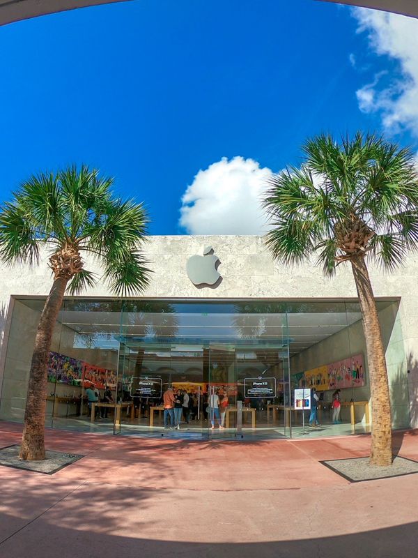 アメリカ(米国)・サンフランシスコ「201901 🇺🇸USA」の写真