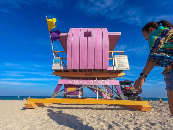 アメリカ(米国)・サンフランシスコ「201901 🇺🇸USA」の写真