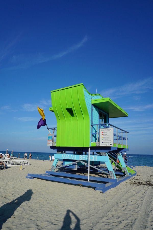 アメリカ(米国)・サンフランシスコ「201901 🇺🇸USA」の写真