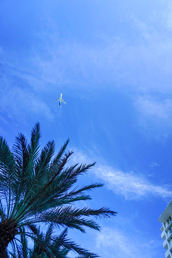 アメリカ(米国)・サンフランシスコ「201901 🇺🇸USA」の写真