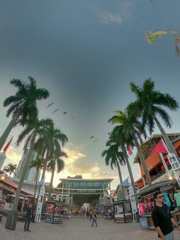 アメリカ(米国)・サンフランシスコ「201901 🇺🇸USA」の写真