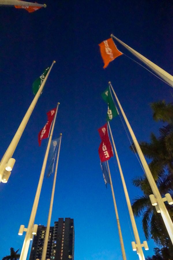 アメリカ(米国)・サンフランシスコ「201901 🇺🇸USA」の写真