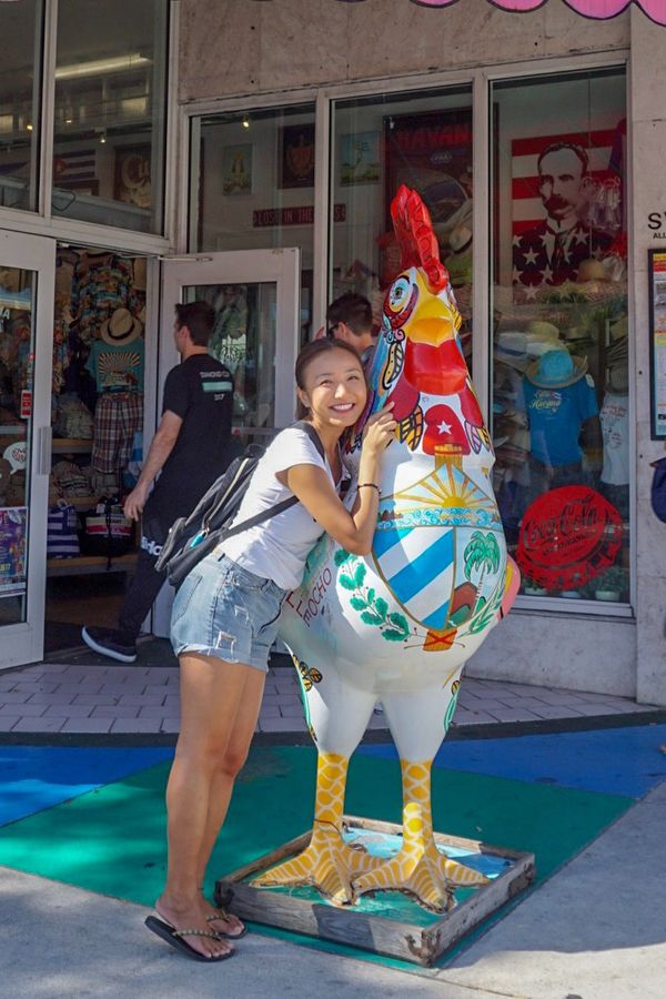 アメリカ(米国)・サンフランシスコ「201901 🇺🇸USA」の写真