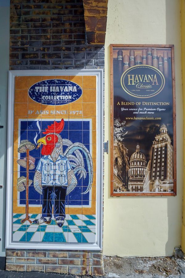 アメリカ(米国)・サンフランシスコ「201901 🇺🇸USA」の写真